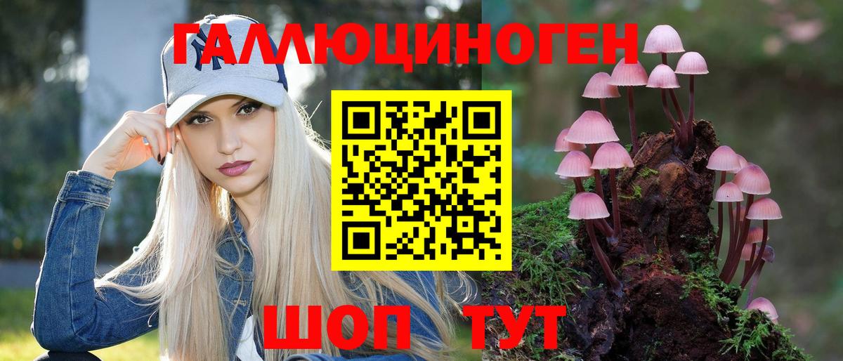Псилоцибиновые грибы Psilocybe  Вход с VPN  Бор 