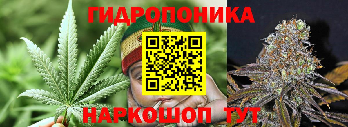 Бор  Бошки марихуана White Widow  МАРИХУАНА тримм  Вход с VPN  Марихуана семена 
